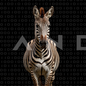 Zebra - 000326