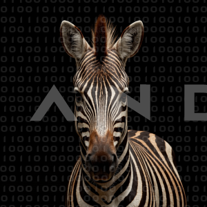 Zebra - 000328