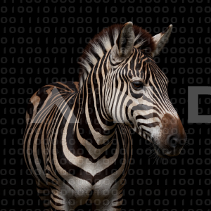 Zebra - 000329