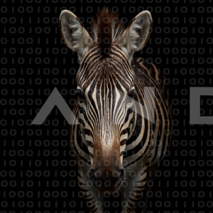 Zebra - 000331