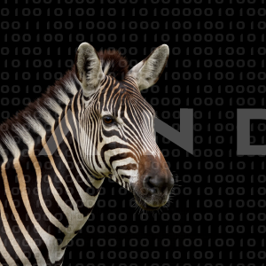 Zebra - 000333