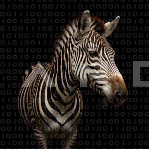 Zebra - 000334