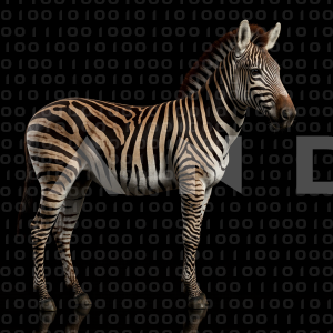 Zebra - 000335