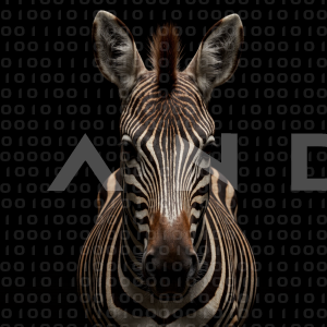 Zebra - 000337