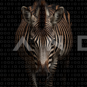 Zebra - 000338
