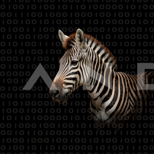 Zebra - 000339