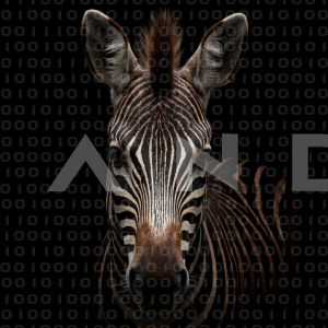 Zebra - 000340