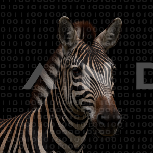 Zebra - 000343