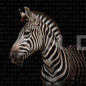 Zebra - 000344