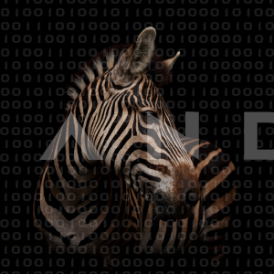 Zebra - 000346