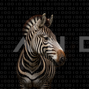 Zebra - 000350