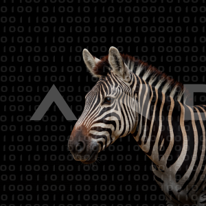 Zebra - 000352