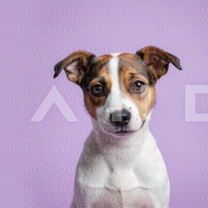 Jack Russell - 000002