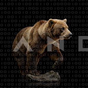 Bear - 000012