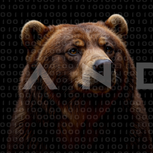 Bear - 000015