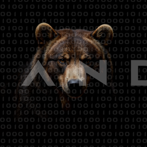 Bear - 000024