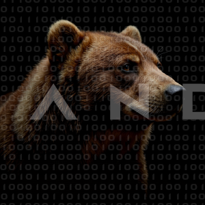 Bear - 000033
