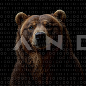 Bear - 000038