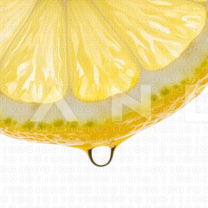 Lemon Fruit - 000013