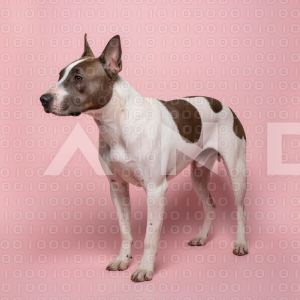 Pitbull Dog - 000015