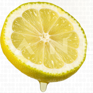 Lemon Fruit - 000018