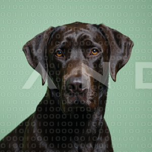 Great Dane Dog - 000019