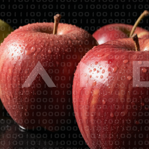 Apples - 000302