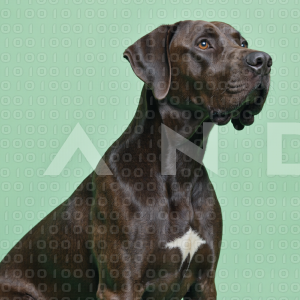 Great Dane Dog - 000024