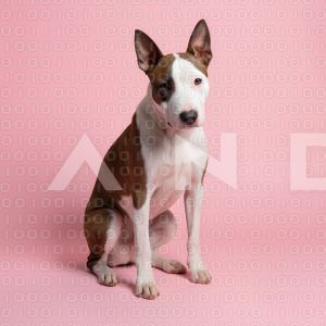 Pitbull Dog - 000027