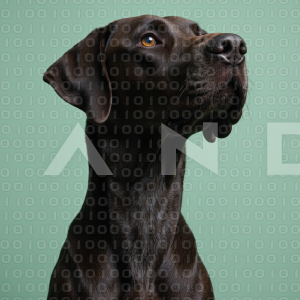 Great Dane Dog - 000028