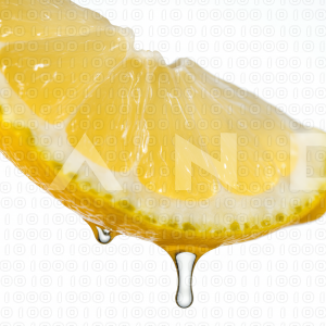 Lemon Fruit - 000028