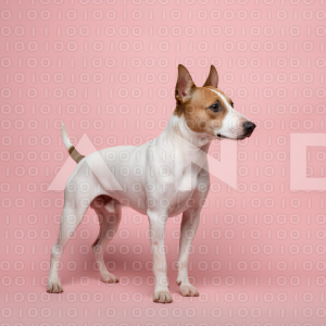 Pitbull Dog - 000030