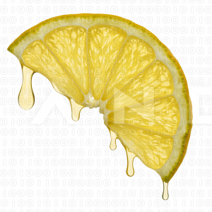 Lemon Fruit - 000041