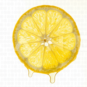 Lemon Fruit - 000046