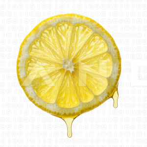 Lemon Fruit - 000047