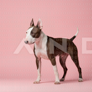 Pitbull Dog - 000050