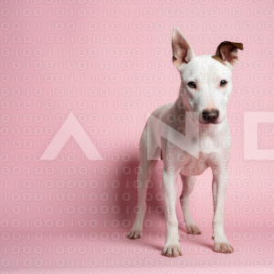 Pitbull Dog - 000052