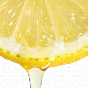 Lemon Fruit - 000067