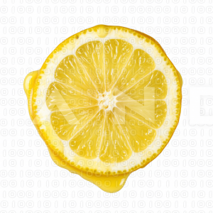 Lemon Fruit - 000008