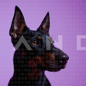 Dobermann Dog - 000052