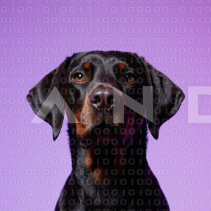 Dobermann Dog - 000053