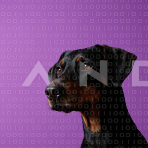 Dobermann Dog - 000059