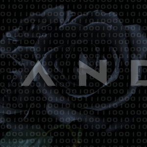 Rose Flowers - 000005