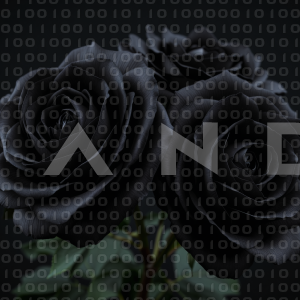 Rose Flowers - 000006