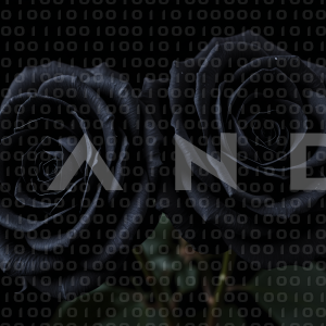 Rose Flowers - 000007