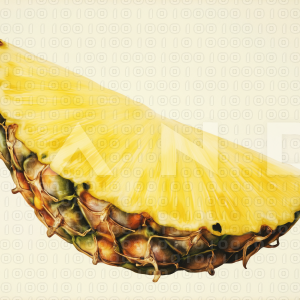 Pineapple - 000002