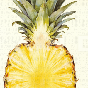 Pineapple - 000005
