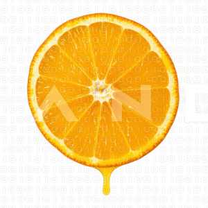 Orange Fruit - 000013