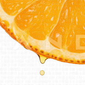 Orange Fruit - 000029