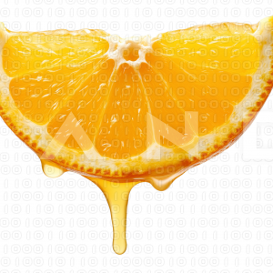 Orange Fruit - 000034